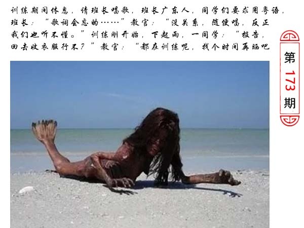 黄大仙手机站